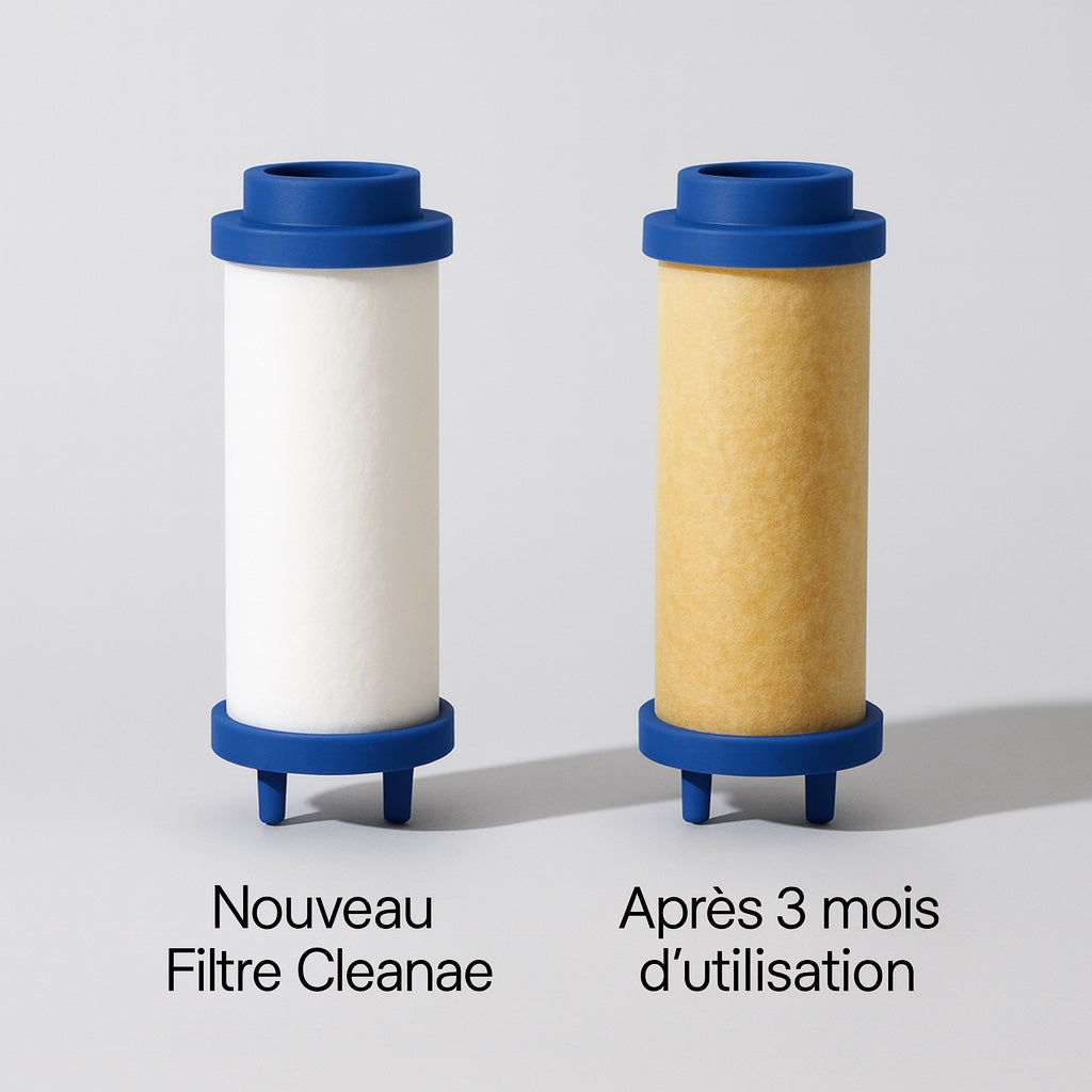 Cleanae Pure – Purifying Shower System